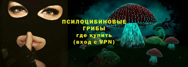 прущая мука Гусев