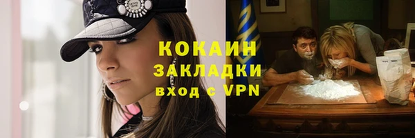 ECSTASY Горняк