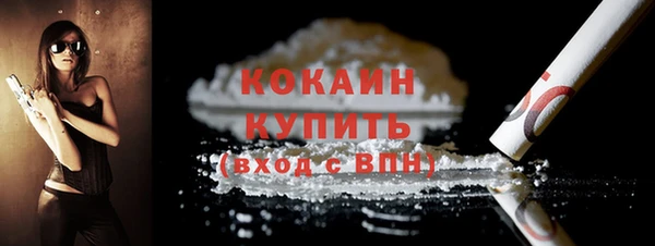 ECSTASY Горняк