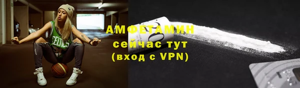 ECSTASY Горняк