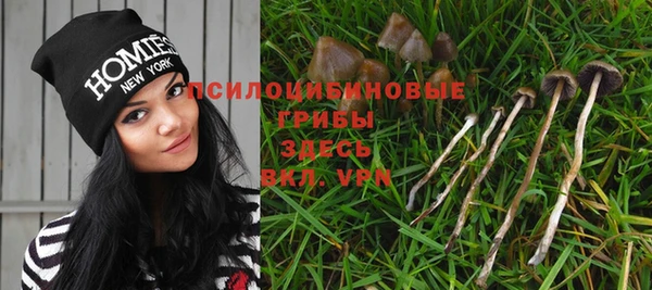 mix Горнозаводск