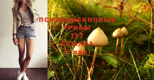 mix Горнозаводск