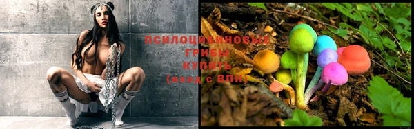 мет Горно-Алтайск